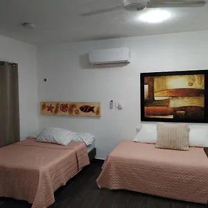 Apartment Estudio Zona Centro Cerca De La Terminal Ado, Cancún